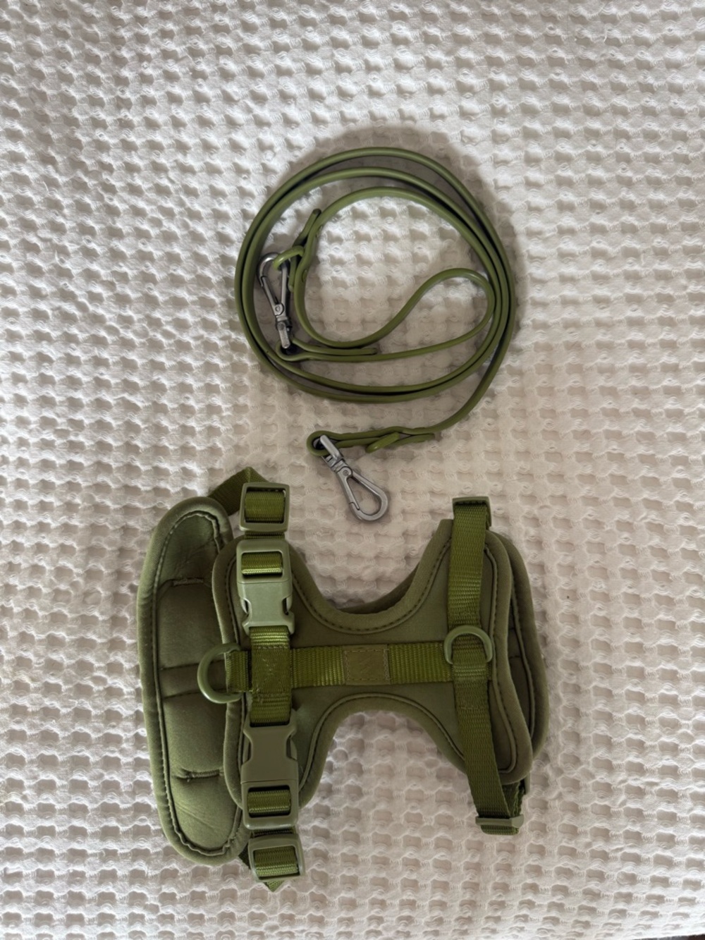 Wild One | Limited Edition Walk Kit | Moss Green Harness & Leash | Small